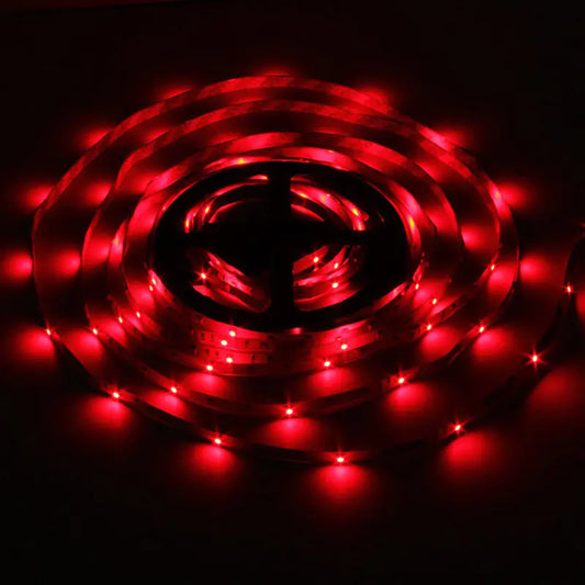 Remote Control LED Decorative Waterproof Light Strip